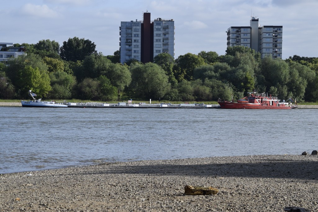 Schiff 1 Koeln in Hoehe der Koelner Zoobruecke P020.JPG - Miklos Laubert